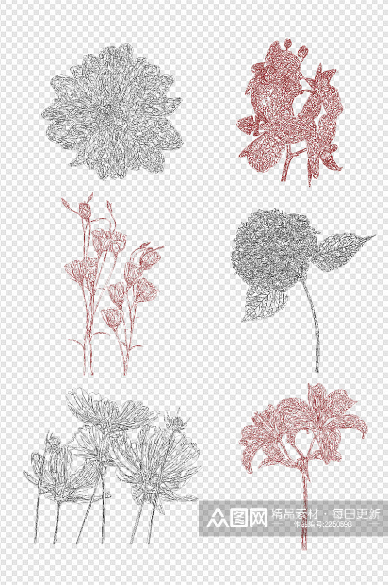 花卉纹路线条植物纹理背景小清新免扣元素素材
