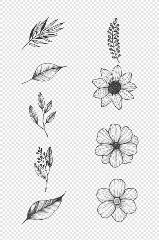 9种树叶花朵黑白免扣元素