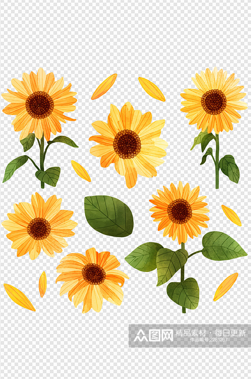 向日葵花朵花朵手绘插画植物花简约免扣元素素材