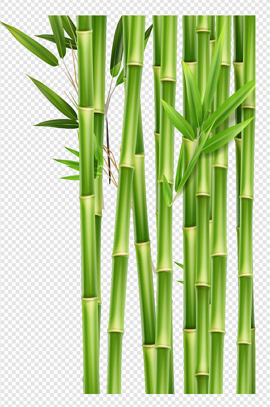中式中国风竹子插画中国画绿色植物免扣元素