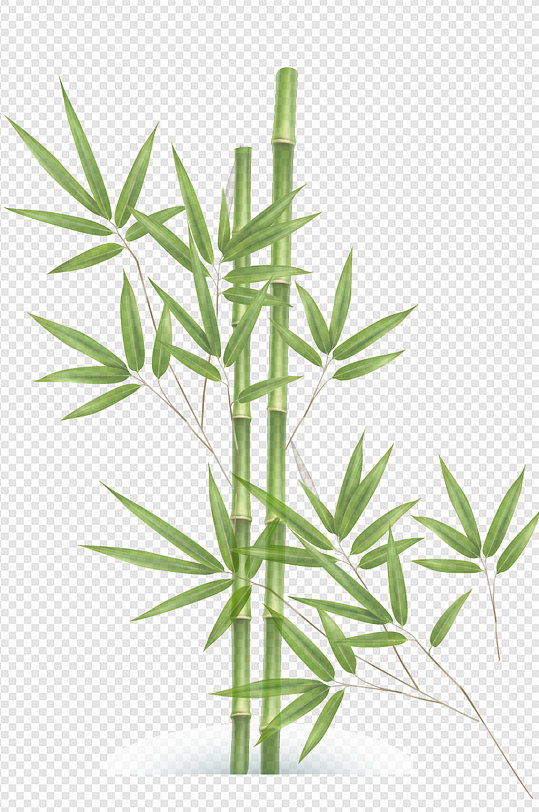 中式中国风竹子手绘中国画手绘植物免扣元素
