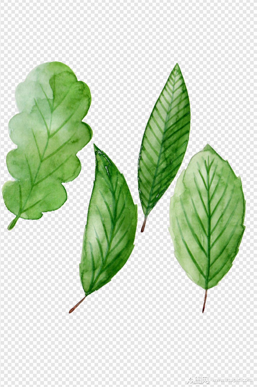 手绘绿色植物树叶子装饰元素透明免扣元素素材