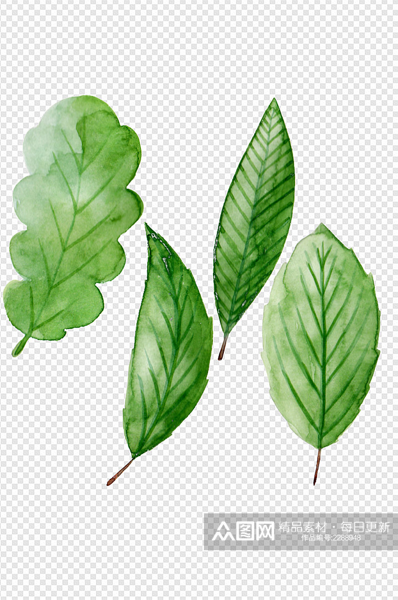 手绘绿色植物树叶子装饰元素透明免扣元素素材