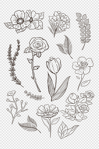 线描素描植物花卉叶子装饰图案免扣元素