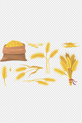 金色麦穗麦子插画免扣元素