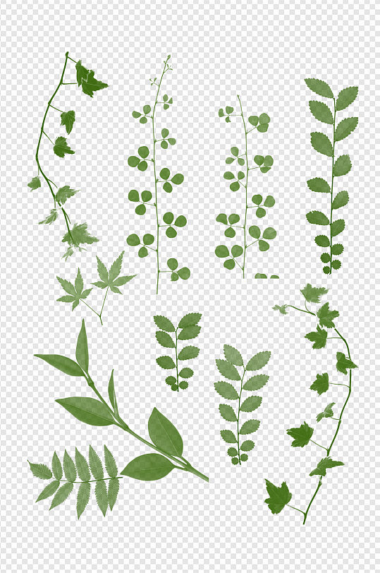 叶子免扣元素创意热带树叶植物插画免抠png元素立即下载树叶蝴蝶森系