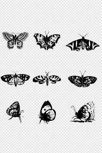 各种蝴蝶昆虫图标图案线条免扣元素