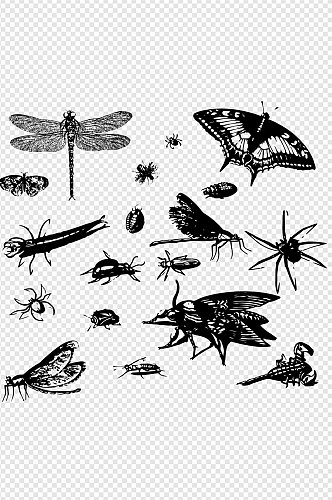 昆虫甲虫蝴蝶图标图案线条图免扣元素