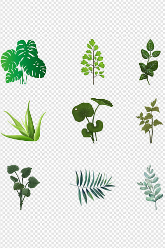 绿植元素绿色花卉装饰图标养殖免扣元素