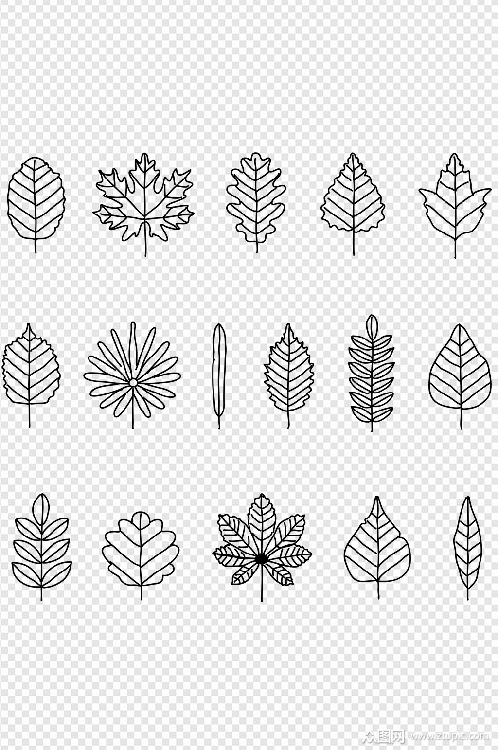 树叶手绘树叶线稿树叶树叶图免扣元素