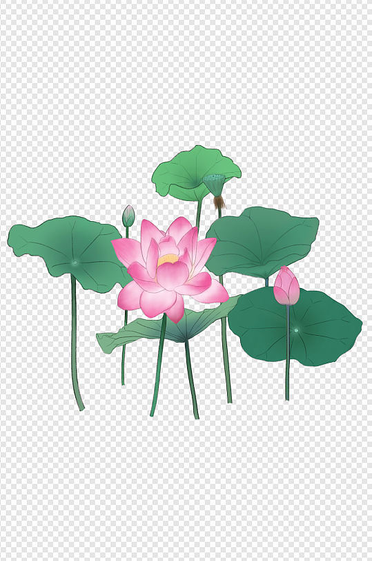 手绘荷花荷叶夏日植物免扣元素