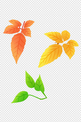 手绘平涂噪点肌理树叶插画秋天叶子免扣元素