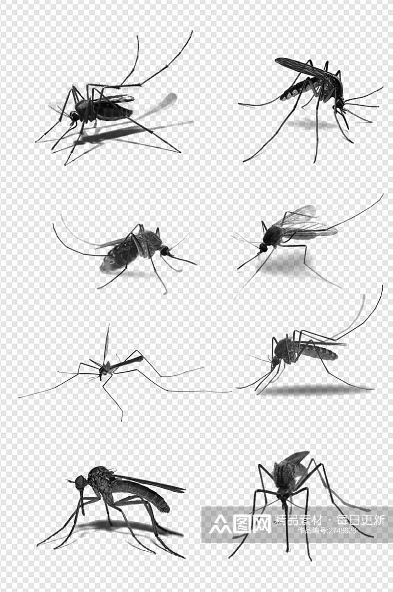 蚊子元素素材黑色笔触PS图免扣元素素材