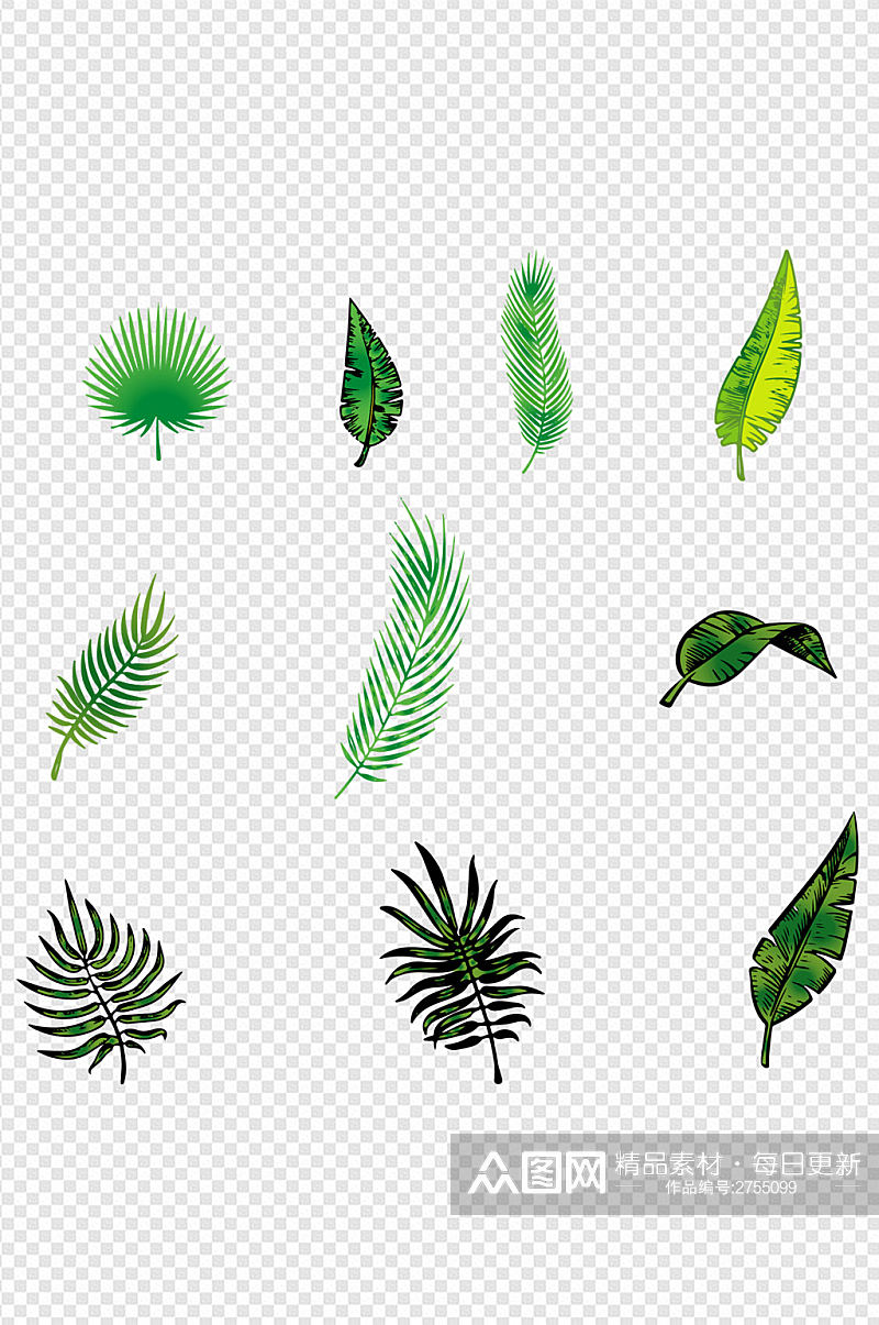 绿色叶子椰树叶大暑小暑夏季设计叶免扣元素素材