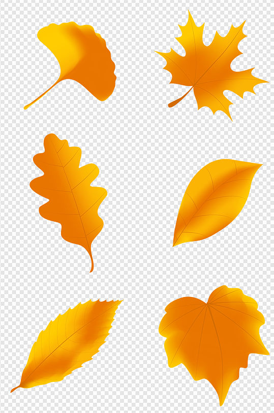黄叶秋天金色叶子叶片插画卡通树叶免扣元素