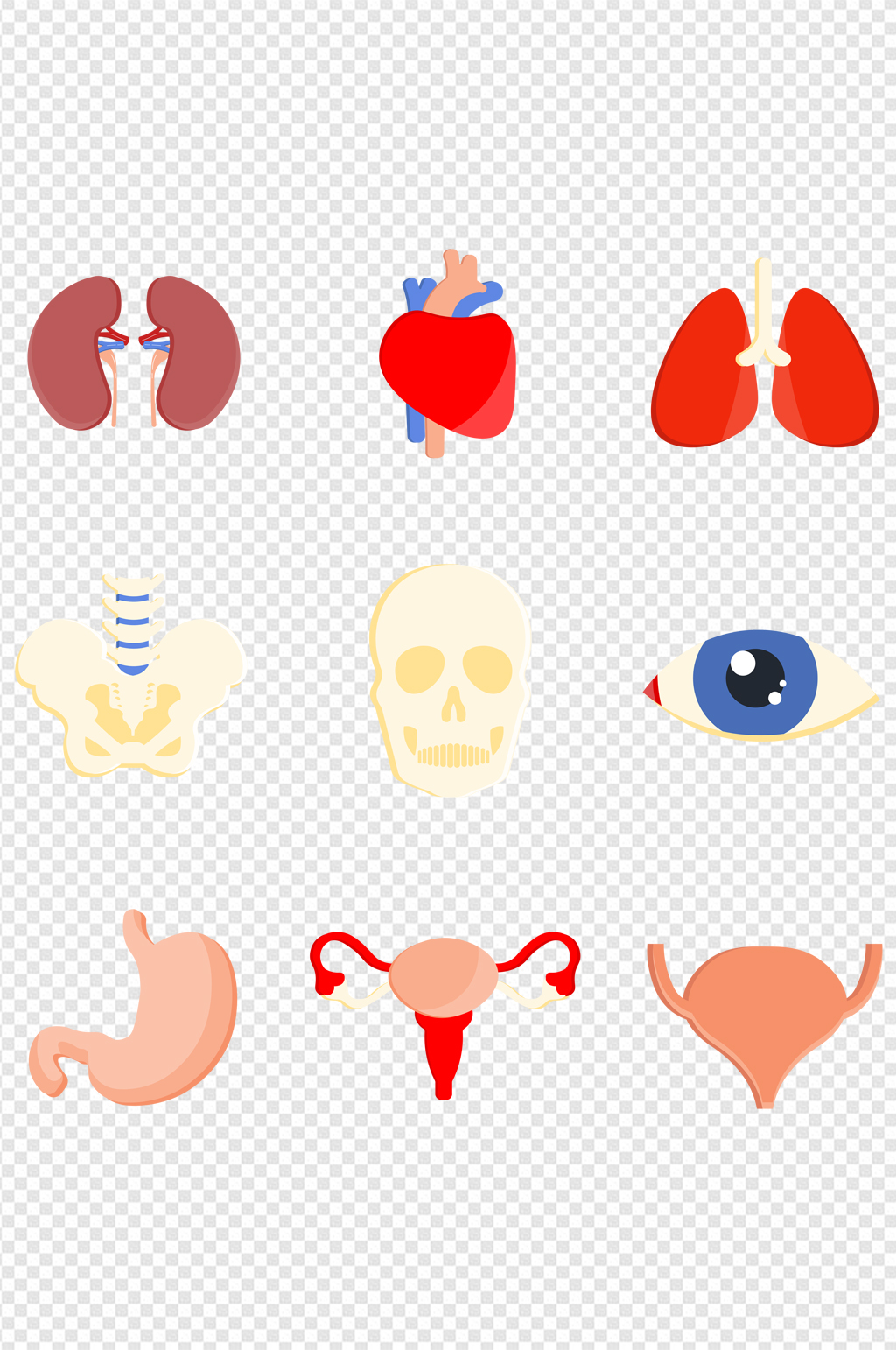心肝肺人体器官免扣元素