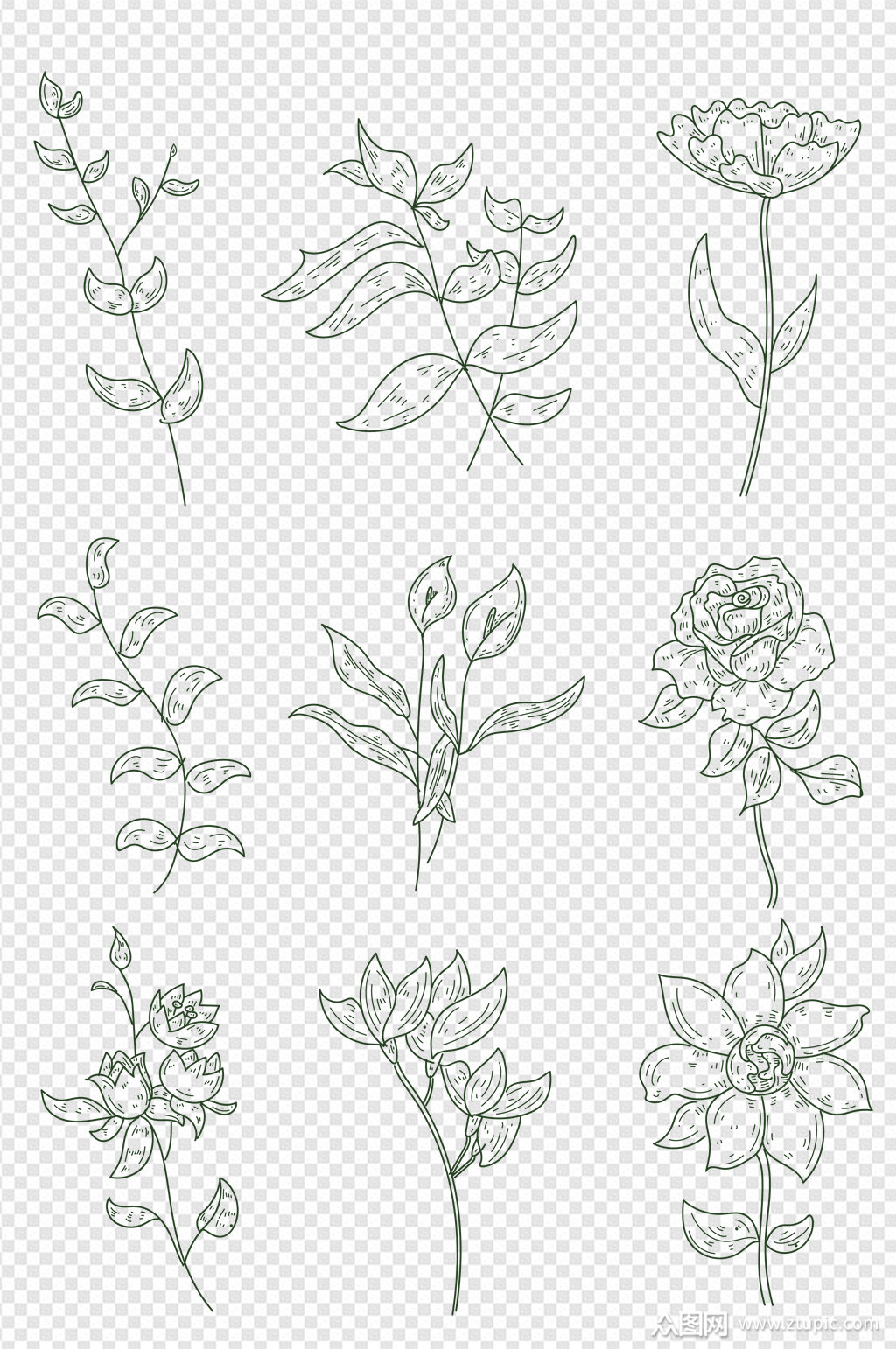 黑白手绘植物和叶子插画免扣元素素材