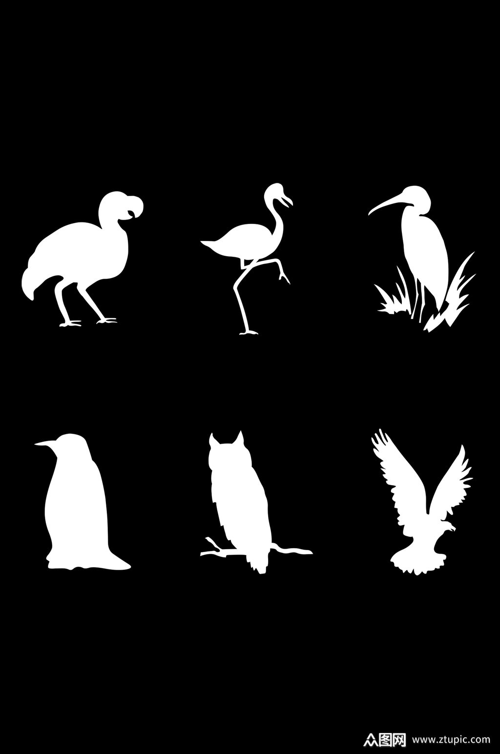 动物鸟类剪影老鹰火烈鸟猫头鹰形状免扣元素