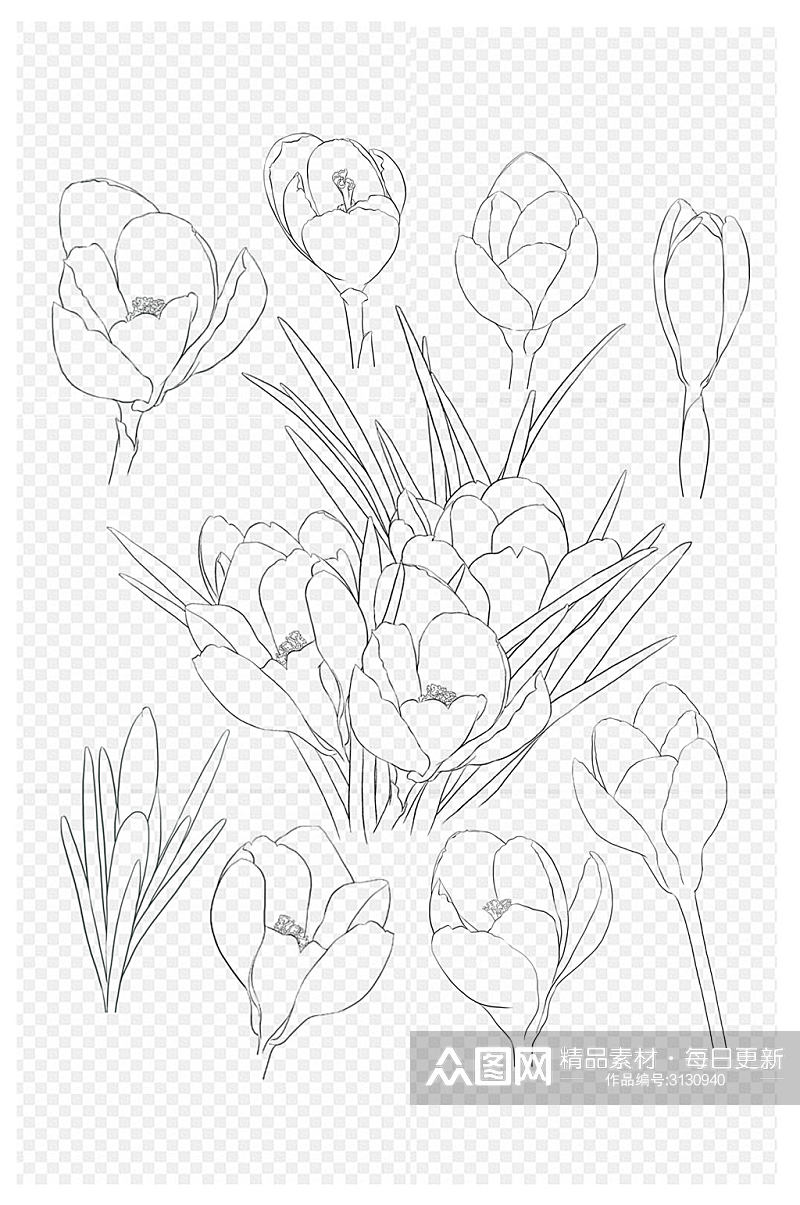 兰花黑白手绘线稿过年年货节花朵免扣元素素材