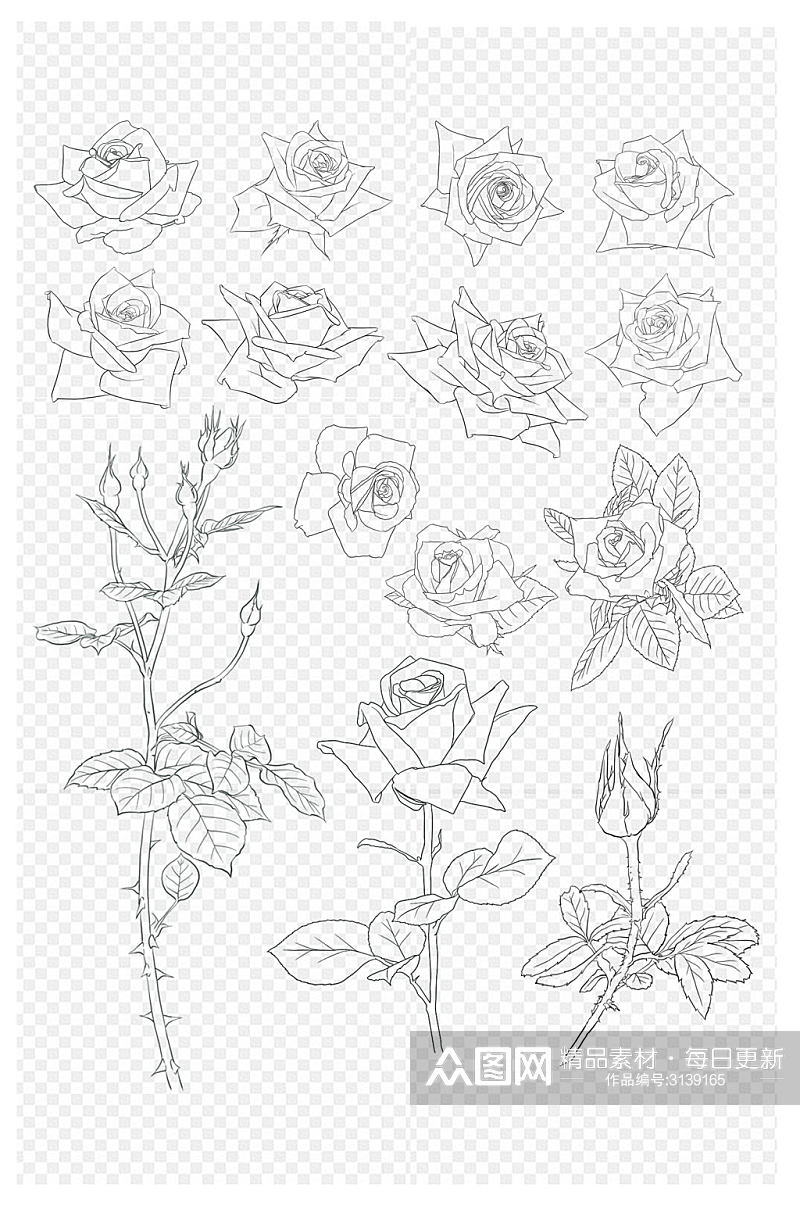 玫瑰花手绘线稿七夕情人女神节花朵免扣元素素材