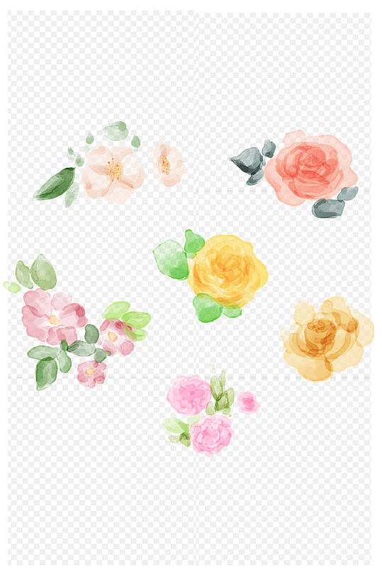 蔷薇月季手绘花朵免扣元素