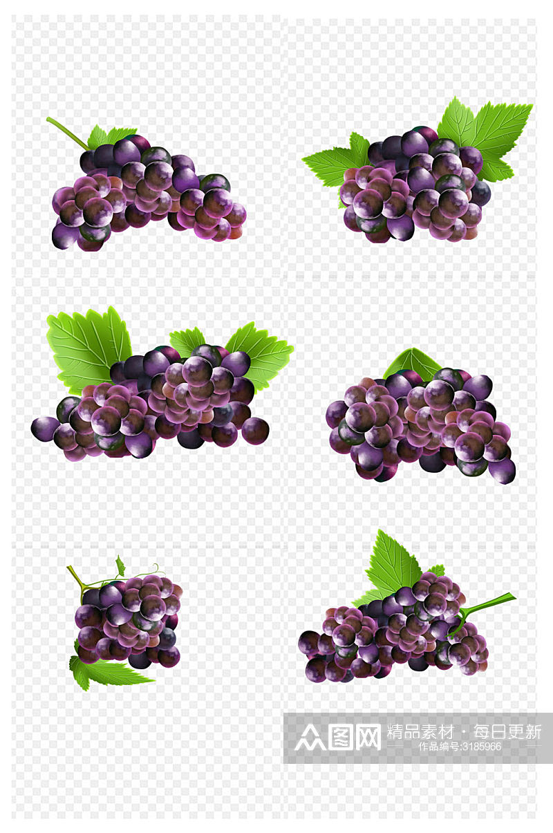 紫色葡萄成串图片合集免扣元素素材