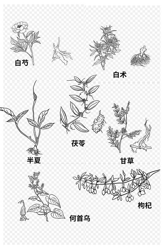 中医素材手绘插画免扣元素