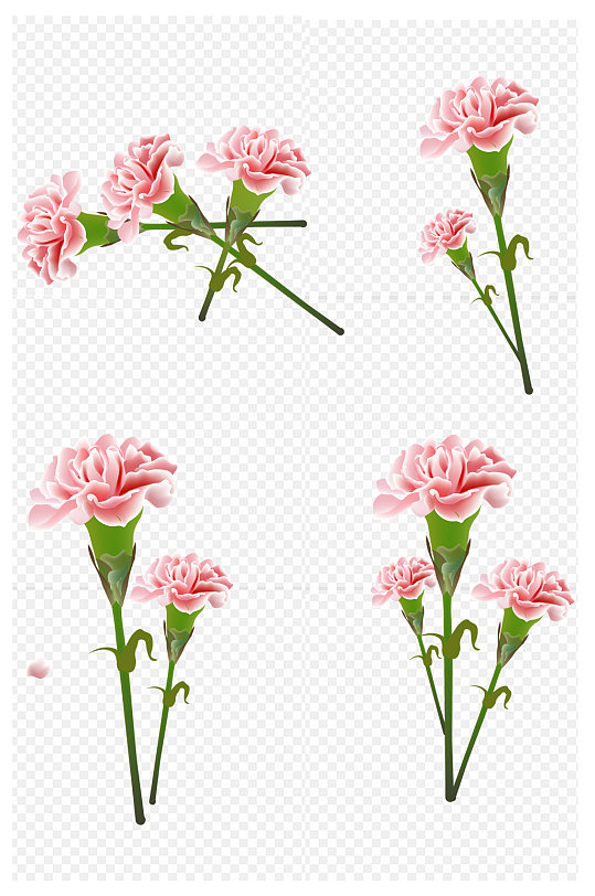 粉色花朵花瓣花束康乃馨母亲节免扣元素