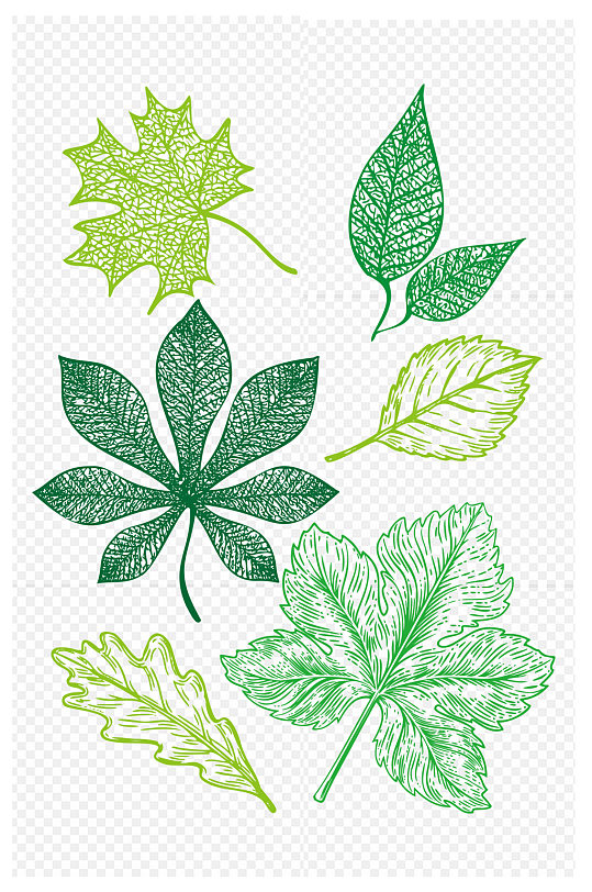 树叶设计元素免扣元素