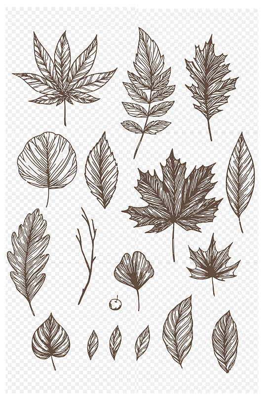 树叶设计元素免扣元素