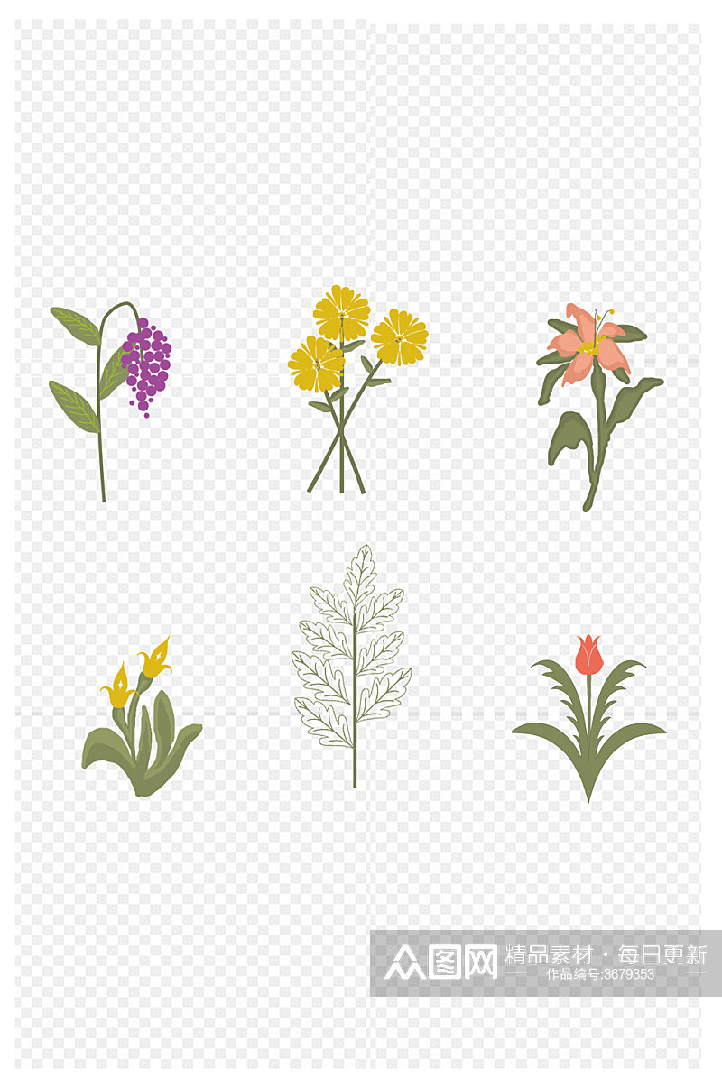 手绘各种插画卡片装饰花束野花免扣元素素材