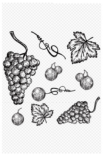 手绘素描风格葡萄水果图案通