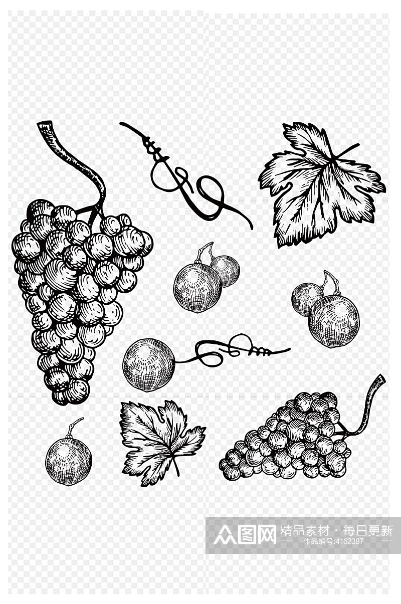 手绘素描风格葡萄水果图案通素材