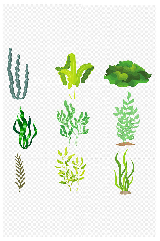 海带手绘元素图形免扣元素