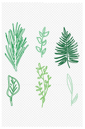 手绘线描植物叶子免扣元素