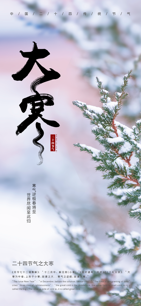 二十四节气大寒节气海报素材