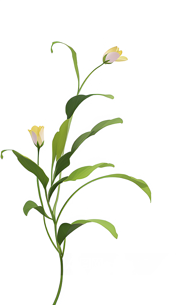 创意兰花植物免抠素材素材