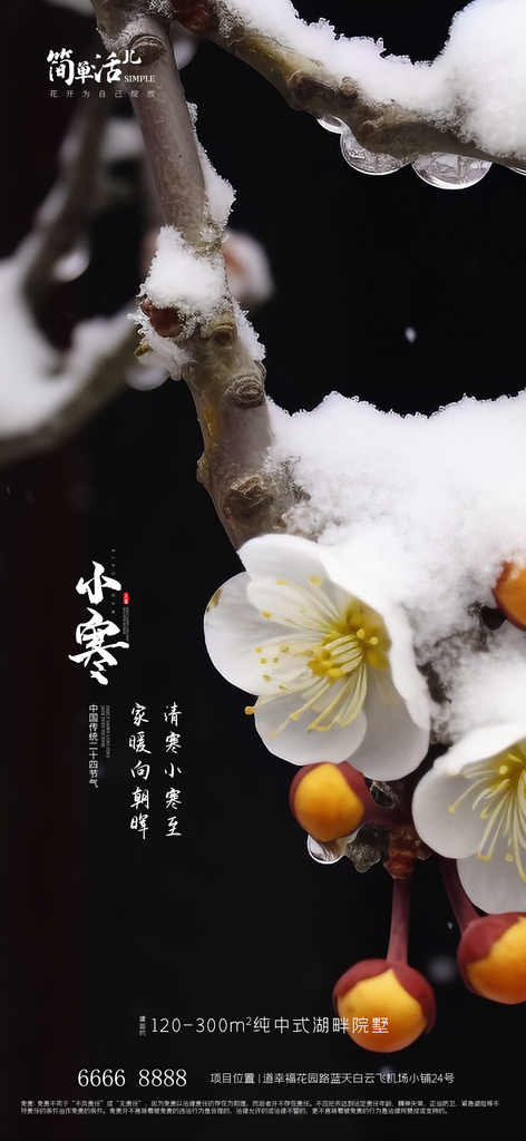 地产小寒大寒节日海报素材