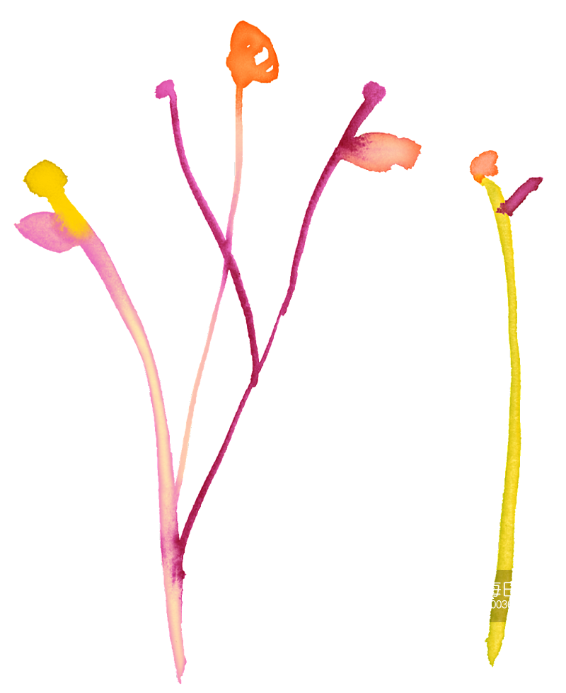 花卉花束水彩女性用品素材素材
