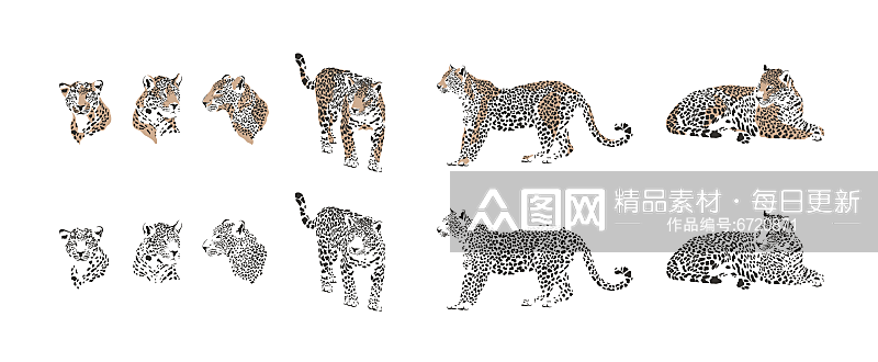 线描动物图形设计素材素材