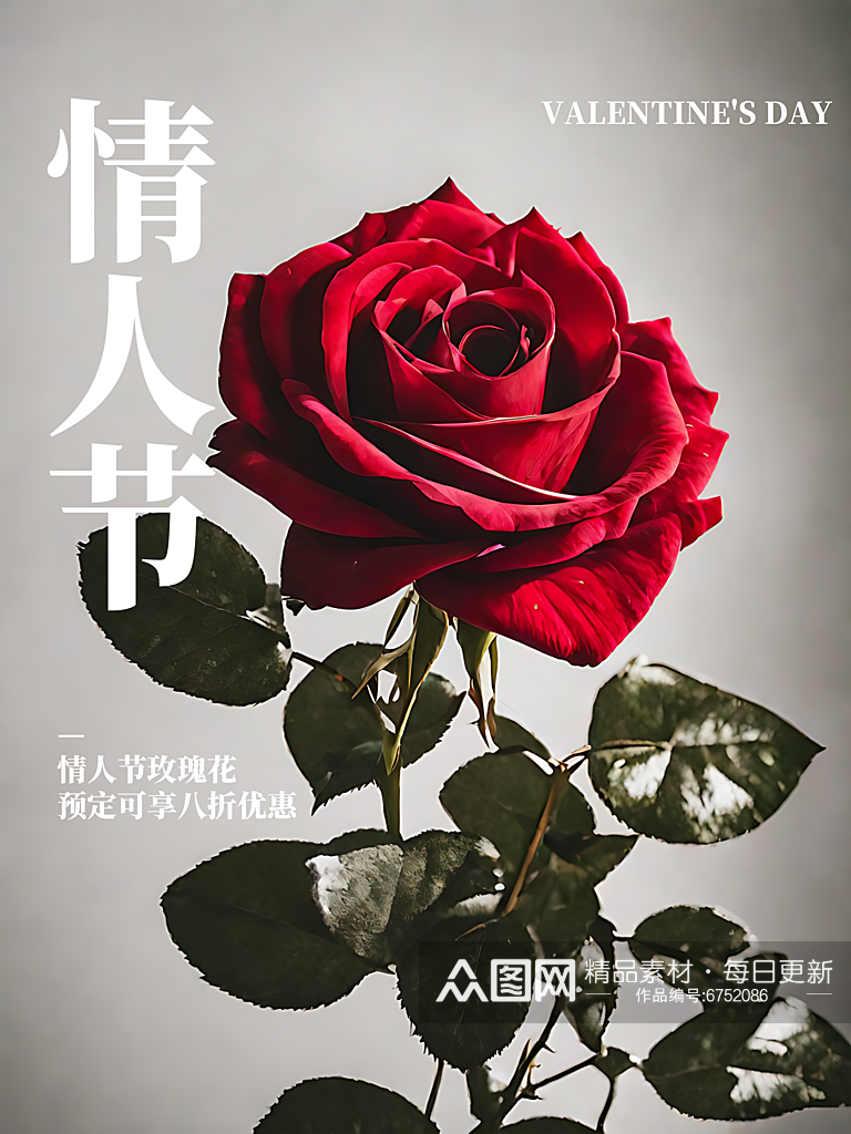 情人节玫瑰摄影图海报素材