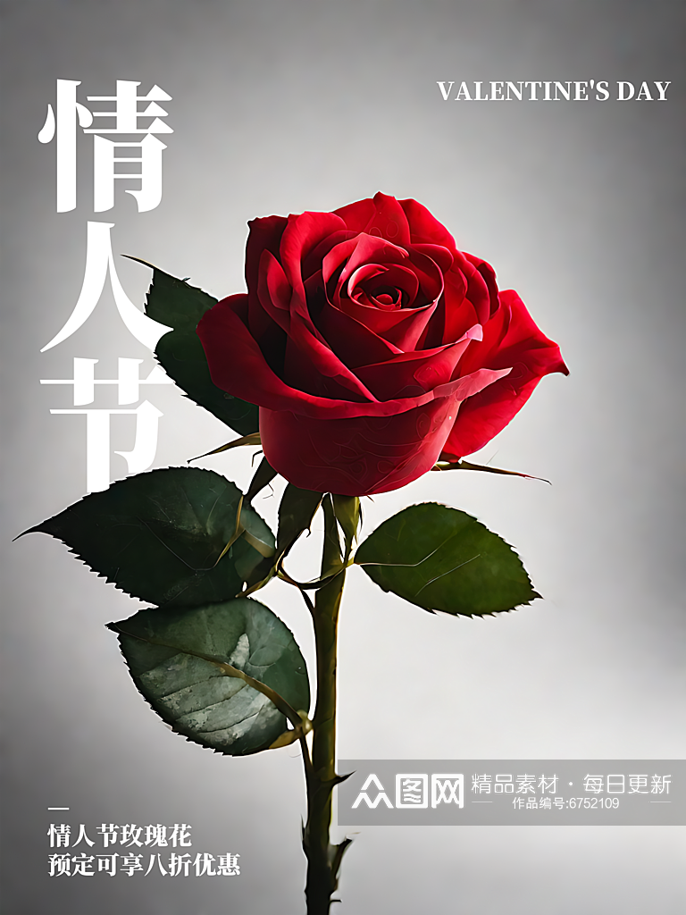 情人节玫瑰摄影图海报素材