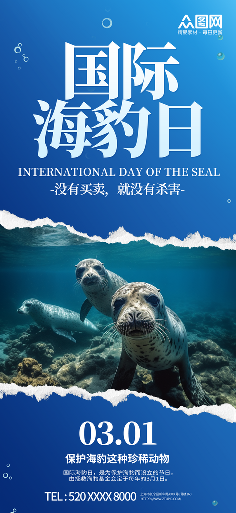 国际海豹日宣传海报素材