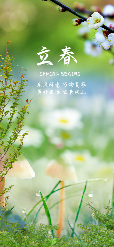 二十四节气之立春素材
