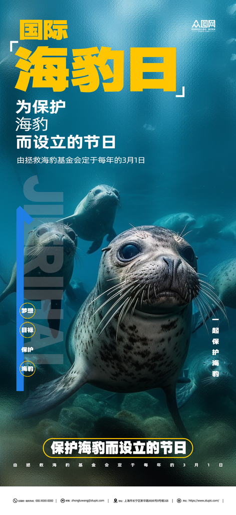 国际海豹日节日宣传海豹素材