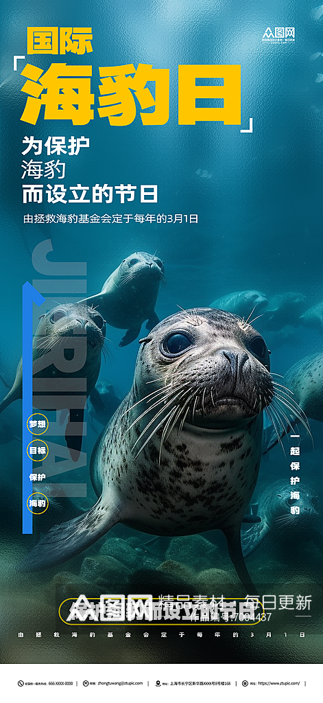 国际海豹日节日宣传海豹素材