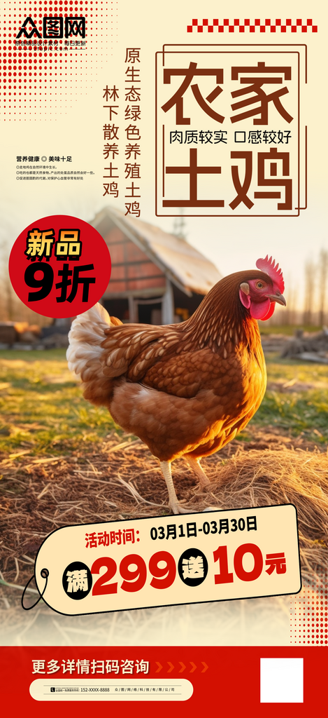 简洁农家土鸡家禽宣传海报素材