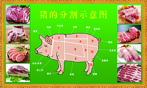 猪肉分切部位图展板素材下载-众图网