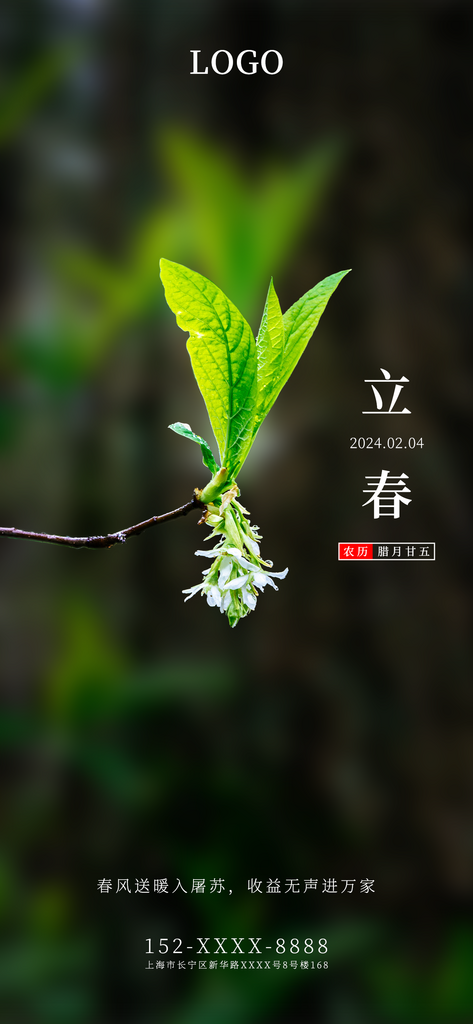 绿色立春简约大气手机全屏海报素材