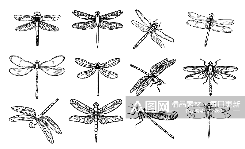素描蜻蜓矢量元素素材